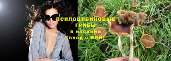 Альфа ПВП Карпинск